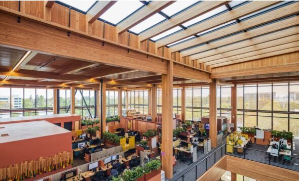 La apuesta de Google por el diseño biofílico en ‘1265 Borregas’, su nuevo edificio de oficinas en California, está construido fundamentalmente con madera certificada FSC.