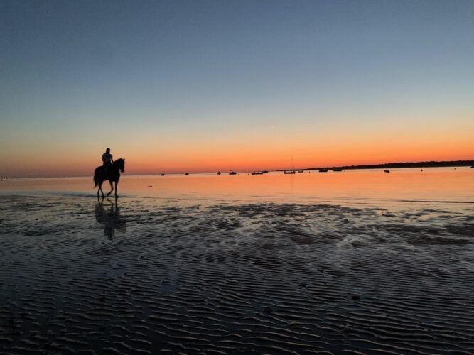 Desembocadura del Guadalquivir, con Doñana al fondo. Foto Manuel Cuéllar.