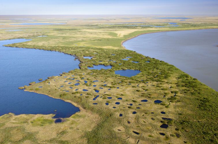 Lago Teshekpuk, según los biólogos “la joya de la corona del Ártico”.