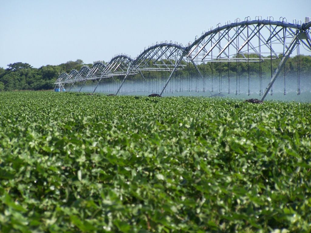 ¿Cómo salir de la bancarrota del agua?

Vía @Elasombrario