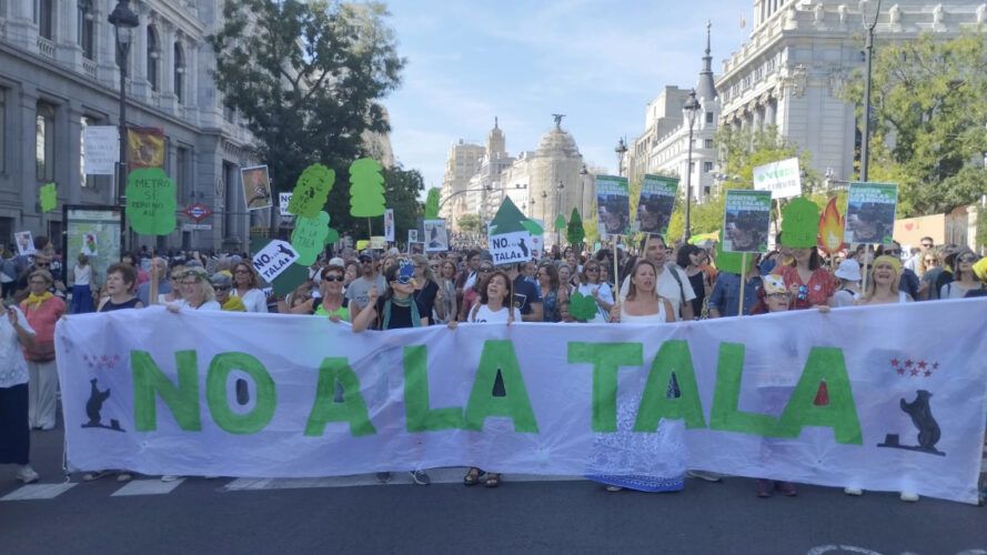 Protesta contra la tala de árboles en Madrid.